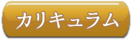 カリキュラムボタン カリキュラムボタン